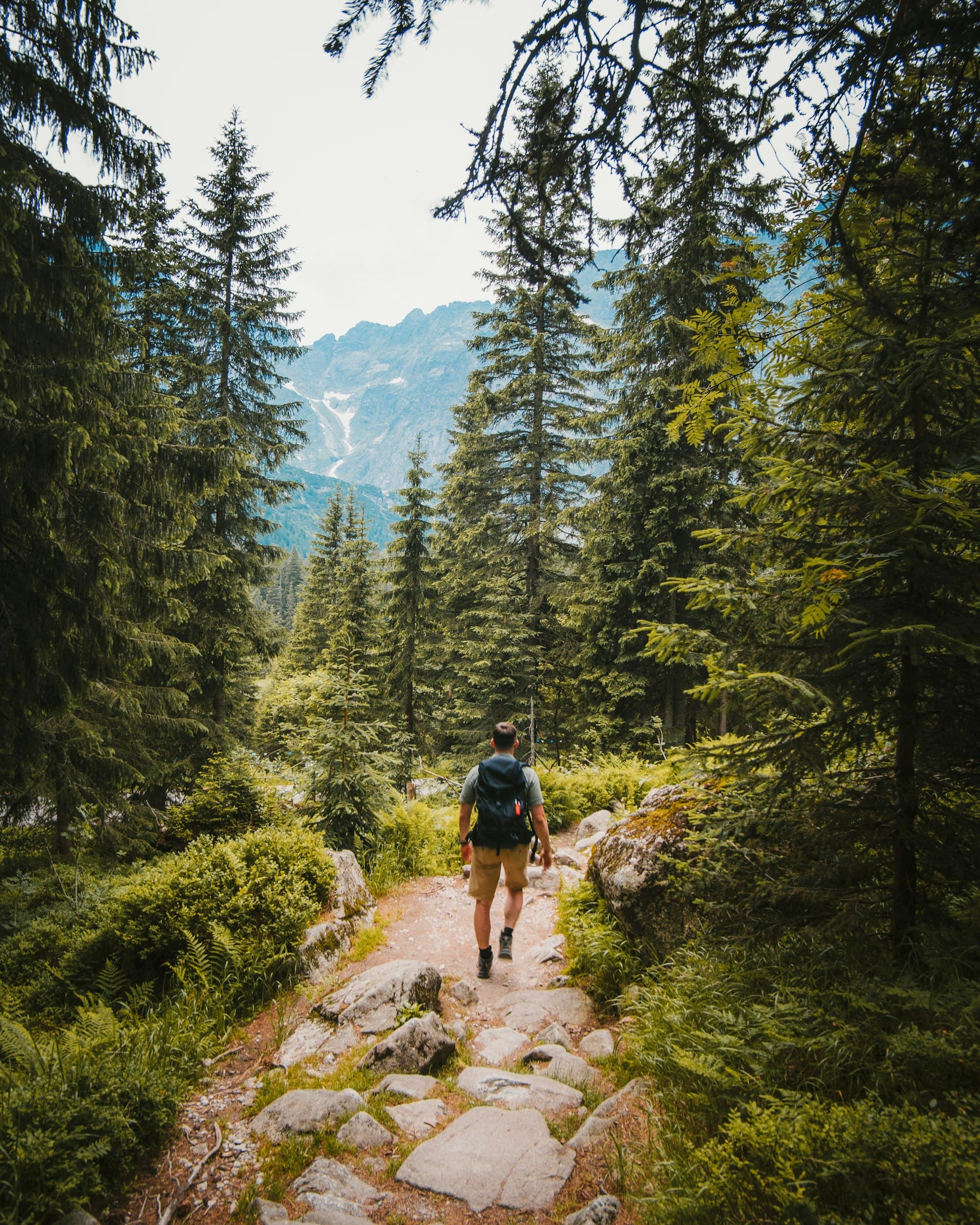 Hiking