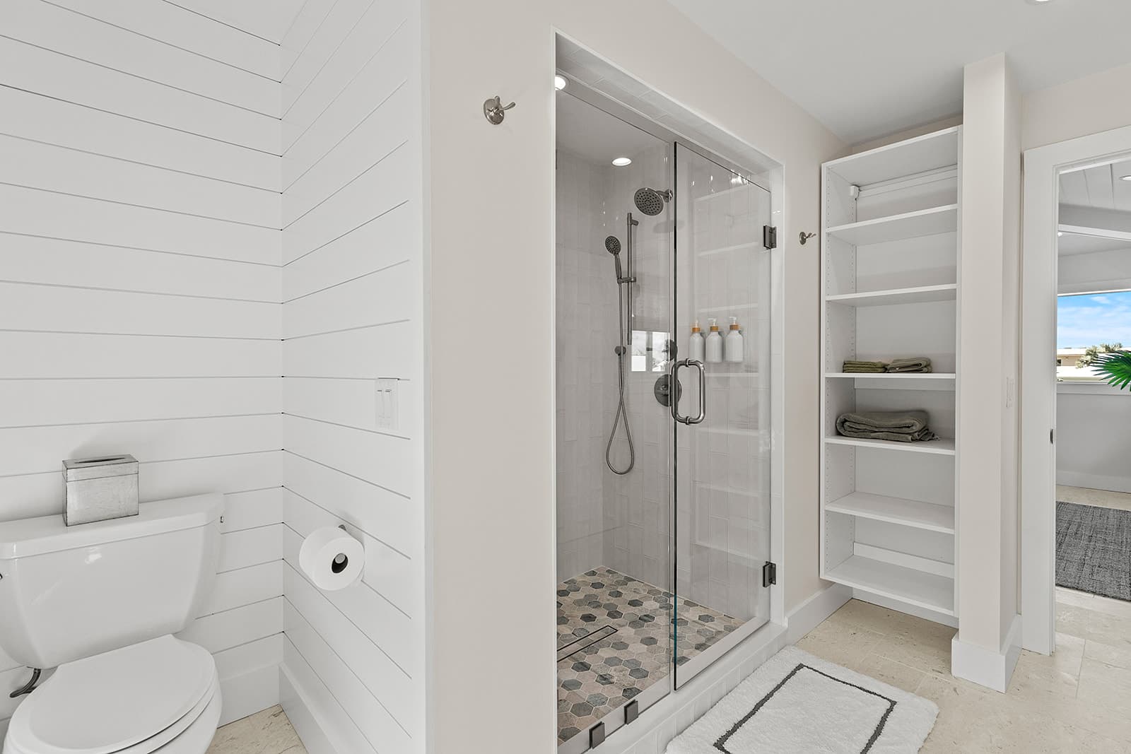 Living room and bathroom